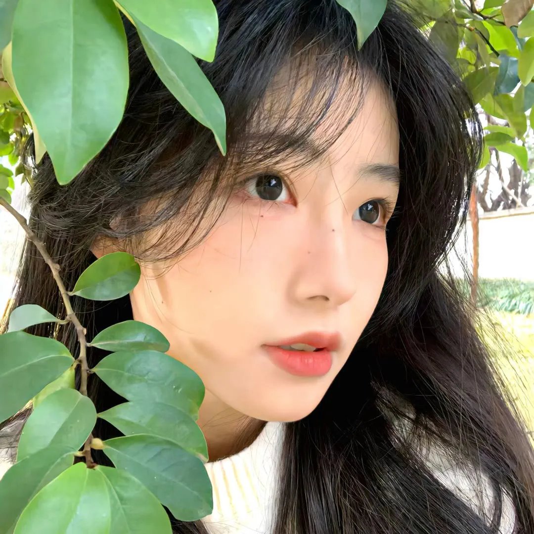 虎父无犬女